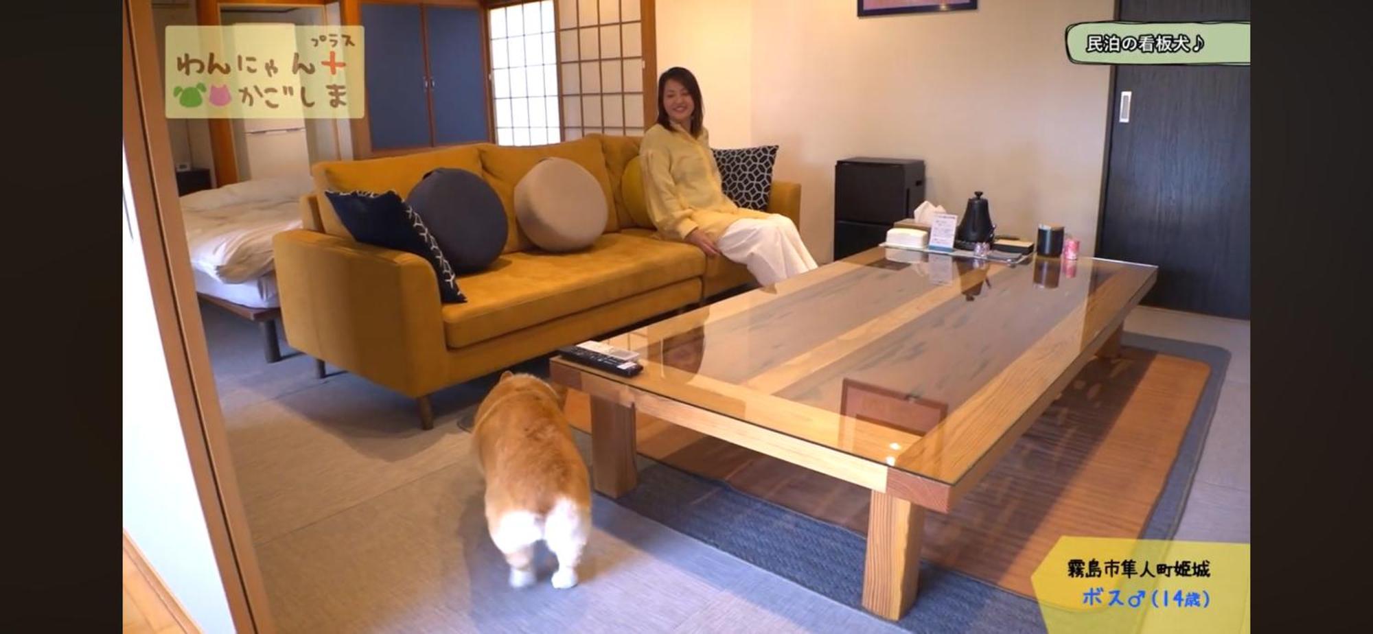 Boss'Shouse 犬ok 1組限定の宿 Kirishima Εξωτερικό φωτογραφία